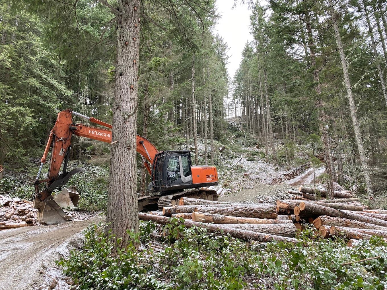 An excavator beside stacked logs on a newly cut forest road under light snow