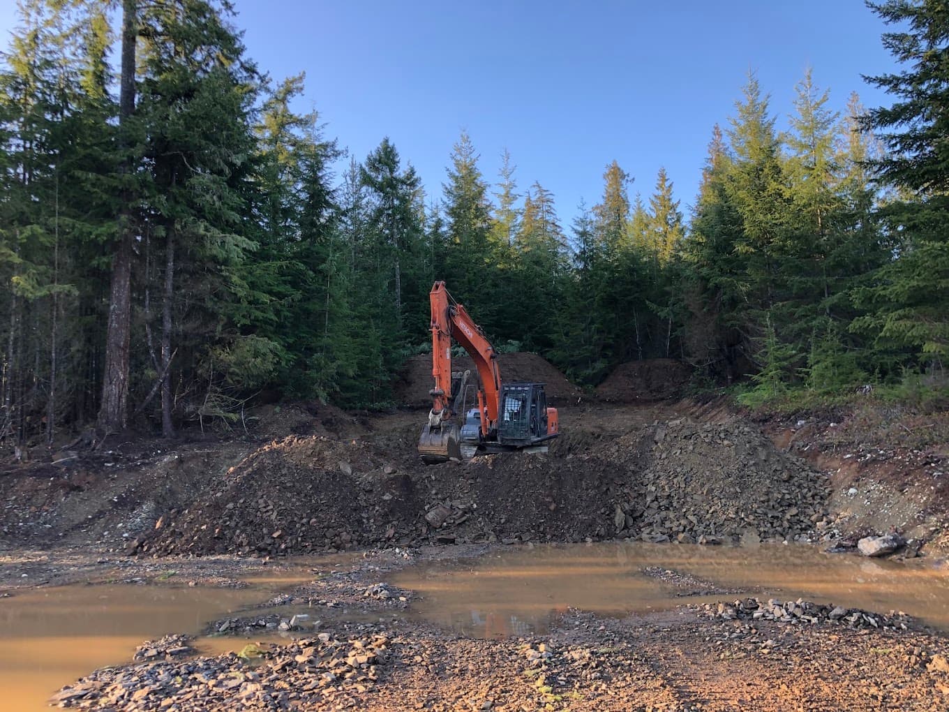 An excavator in a freshly cleared forest opening beside standing water